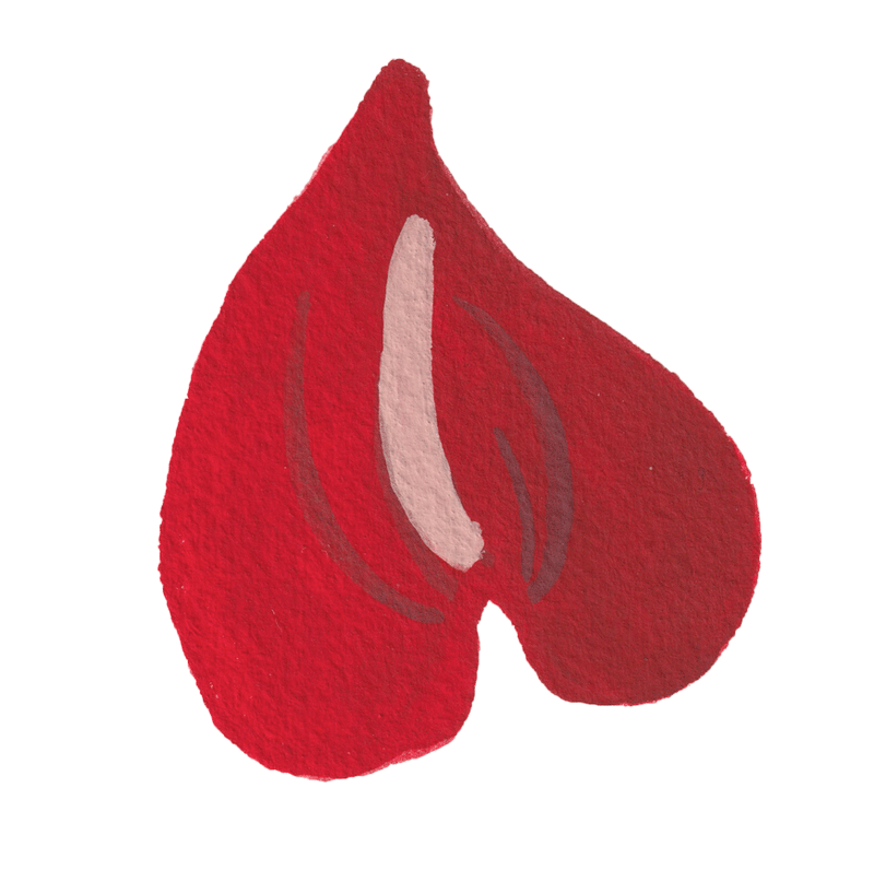 anthurium lipstick red Red Anthurium – Ocean Paper